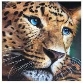 2 Day Wildlife Course