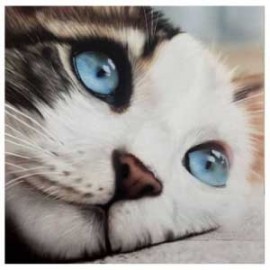 Paint Your Pets Course