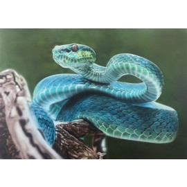 snake-wildlife-single-tutorial
