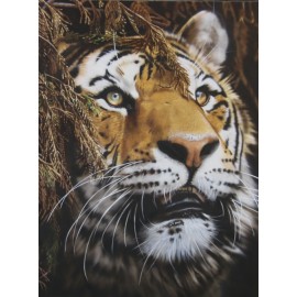2 Day Airbrush Wildlife & Pets Course