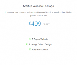 5 Pages Website Package