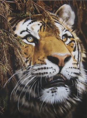 2 Day Airbrush Wildlife & Pets Course
