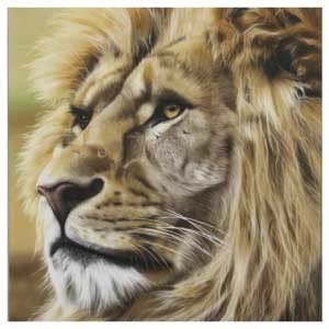 3 Day Airbrush Advanced Wildlife Course